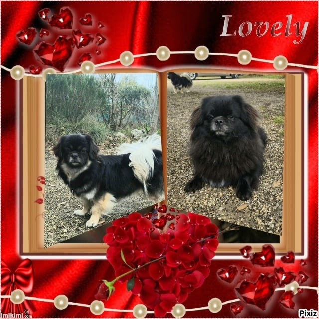 De L'haba Simkhyi - Prochaine naissance